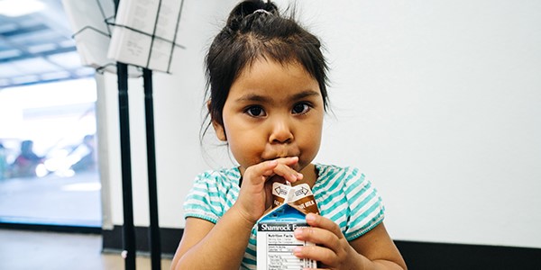 Little girl drinks a milk box from a school lunch. 